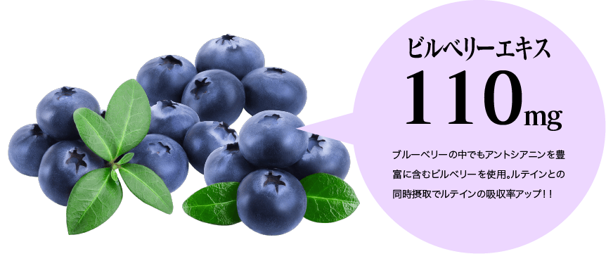 ビルベリーエキス110mg ブルーベリーの中でもアントシアニンを豊富に含むビルベリーを使用。ルテインとの同時摂取でルテインの吸収率アップ!!
