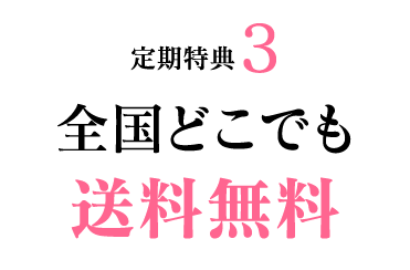 定期特典3 全国どこでも送料無料