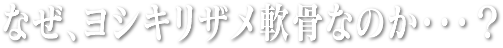 なぜ、ヨシキリザメ軟骨なのか・・・?